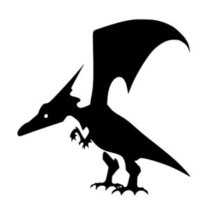 4838_Playful_Pterodactyls_5523.jpeg