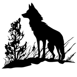 4911_The_Ferocity_of_the_Pack_9953.jpeg