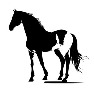 Black & White Stallion