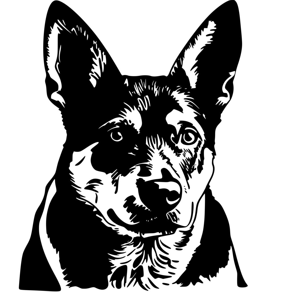 Australian Cattle Dog SVG File: Perfect for Cricut, Silhouette and ...