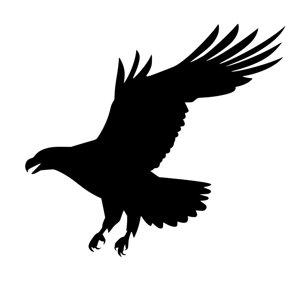 Eagle Silhouette SVG File for Cricut, Silhouette, Laser Machines