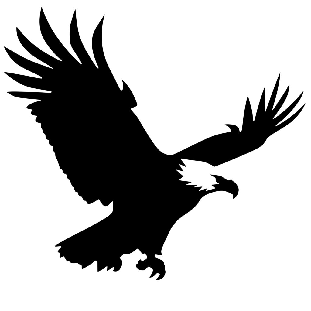 Beautiful Eagle SVG Image for Cricut, Silhouette, Laser Machines
