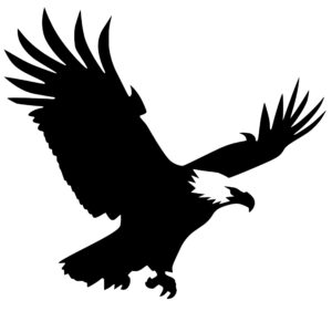 bald_eagle_in_flight_1679863964161597.jpeg