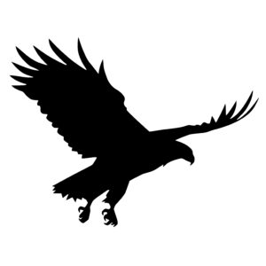 Bald Eagle Flying Silhouette