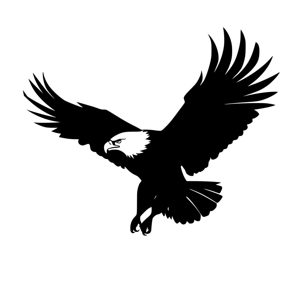 Bald Eagle Catching Prey SVG File for Cricut, Silhouette, Laser Machines