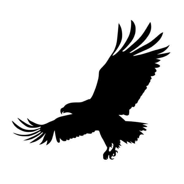 Bald Eagle Silhouette SVG/PNG/DXF File for Cricut, Silhouette, Laser ...