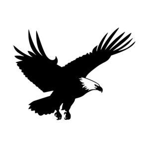 bald_eagle_in_flight_1679864854722882.jpeg