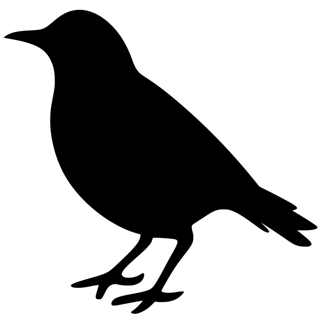 Instant Download Bird Silhouette SVG File for Cricut, Silhouette, and ...