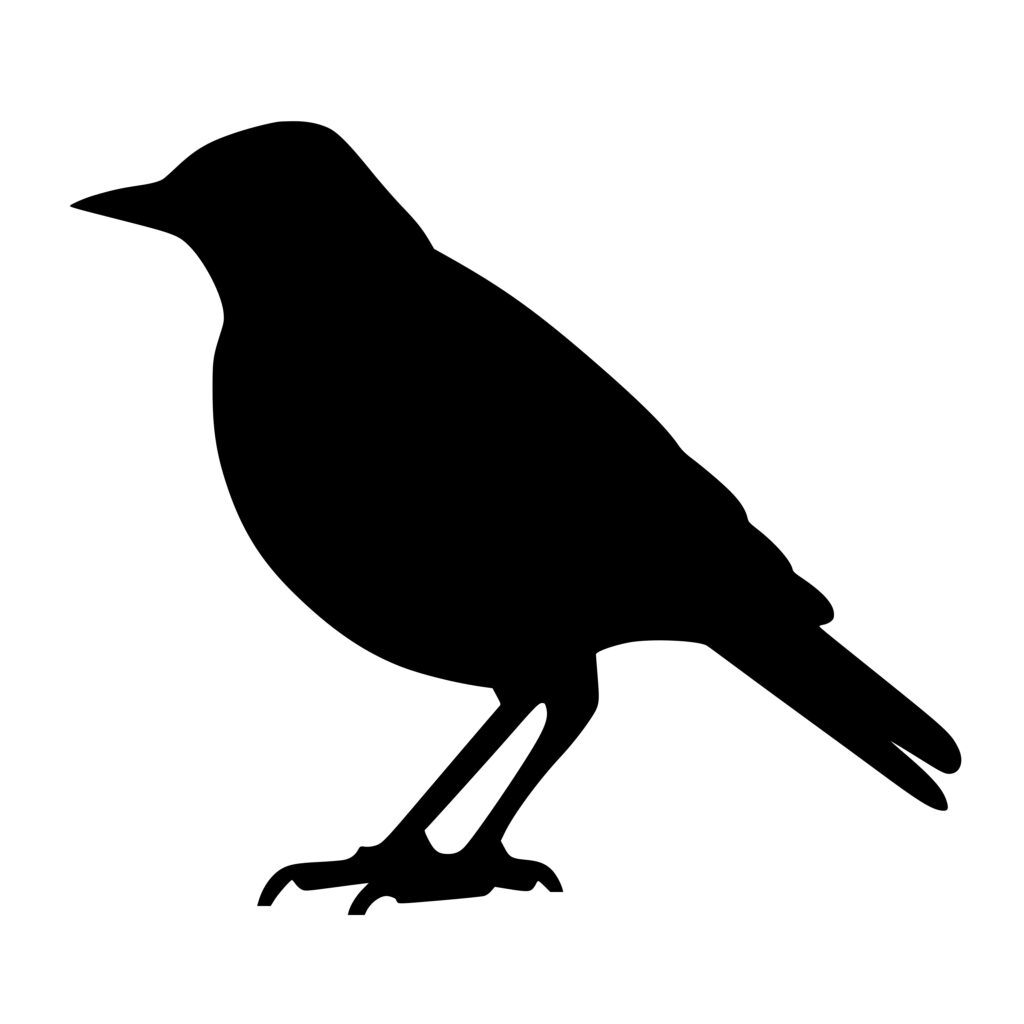 Bird Silhouette SVG: Instant Download for Cricut, Silhouette and Laser