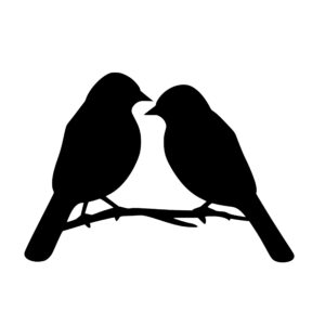 birds_1679864859839843.jpeg