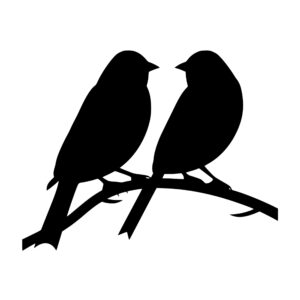 birds_1679864859848968.jpeg