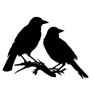 Two Birds on Branch