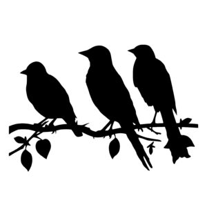 Three Birds on Branch