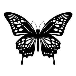 butterfly_1679346028387309.jpeg