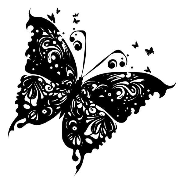 butterfly_1679346028394077.jpeg