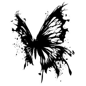 butterfly_1679346028416758.jpeg