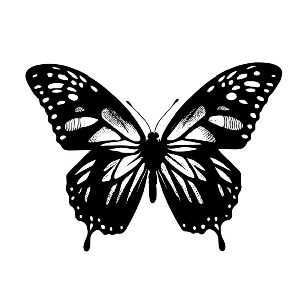 butterfly_1679346028423161.jpeg