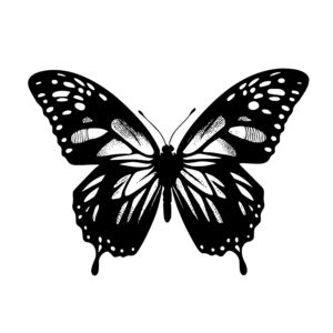 butterfly_1679346028423161.jpeg