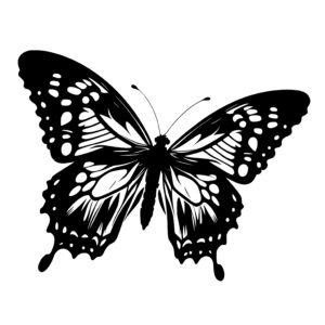 Butterfly Inspiration