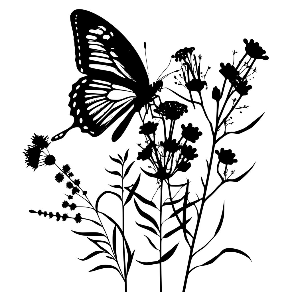 Instant Download Svg Image: Butterfly Blooms For Cricut, Silhouette 