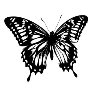 butterfly_1679346033509507.jpeg