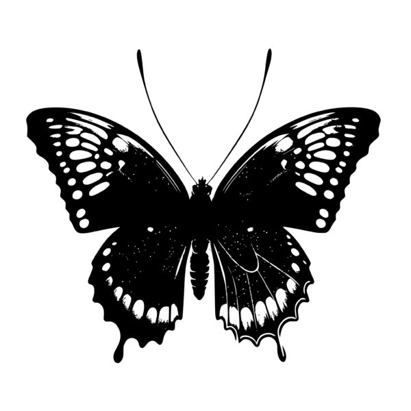 butterfly_1679346074646467.jpeg