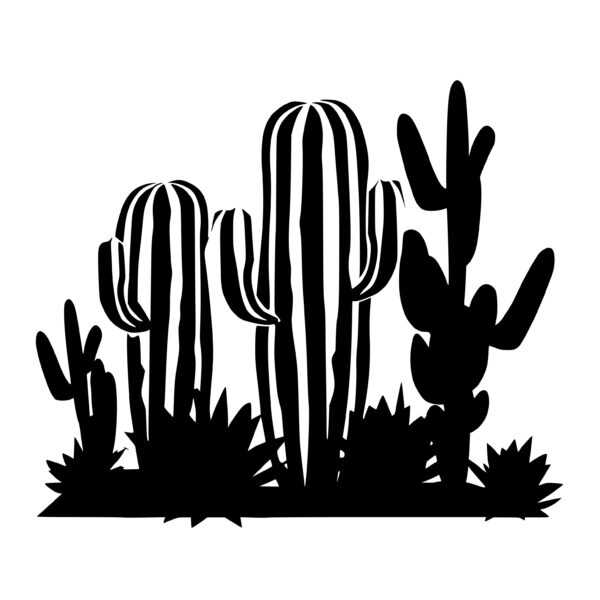 cacti_1679999645780666.jpeg