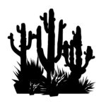 cacti_1679999719179722.jpeg