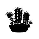 Cactus in Pot