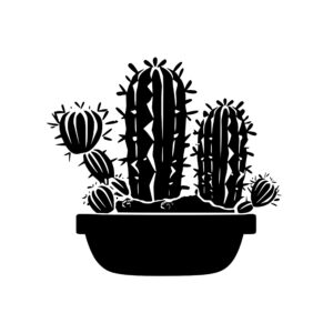 cacti_1679999798884460.jpeg