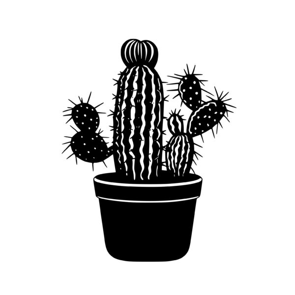 cacti_1679999798897547.jpeg