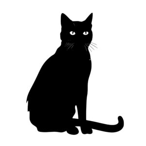 cats_1679865201801508.jpeg