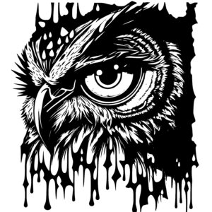 Abstract Owl Eye