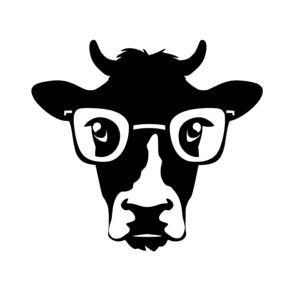 Cow Wearing Glasses