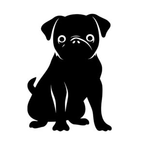 cute_pug_dog_1679999275686232.jpeg