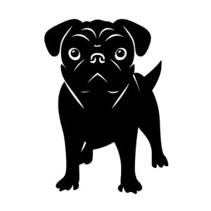 cute_pug_dog_1679999275695779.jpeg