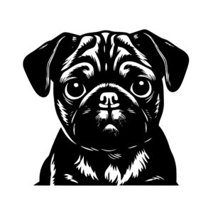 cute_pug_dog_1679999404300407.jpeg