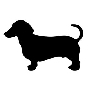 dachshund_1679864342887640.jpeg