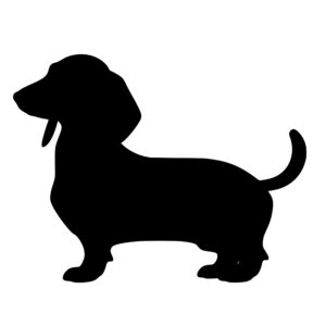 daschund_1679864864993191.jpeg