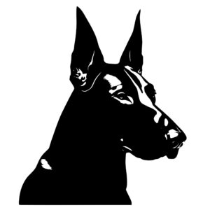 dobermans_1679863969384027.jpeg
