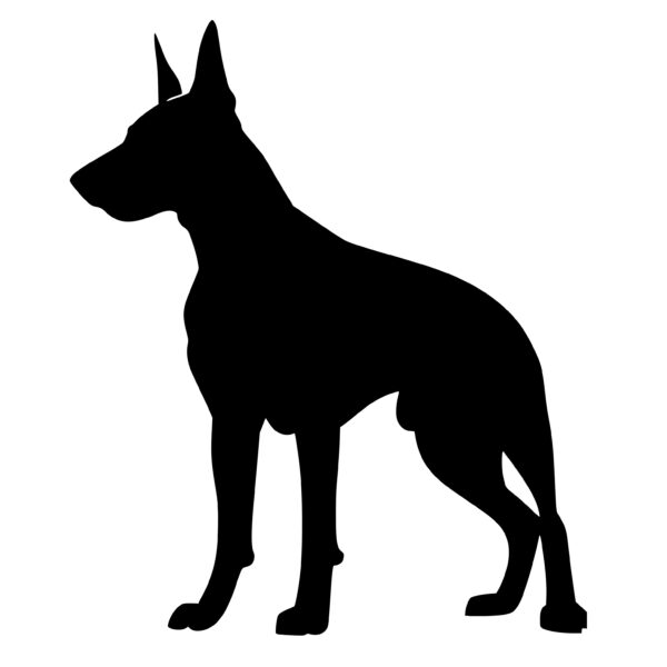 dobermans_1679864342965852.jpeg