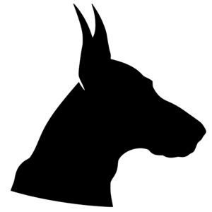 dobermans_167986486563213.jpeg