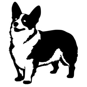 dogs_1679692235787290.jpeg