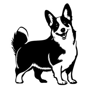 dogs_1679692235796165.jpeg
