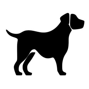 dogs_1679692970927496.jpeg