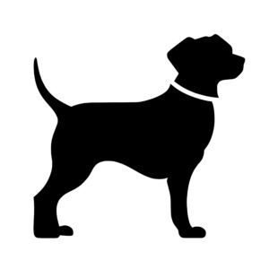 dogs_1679692970935950.jpeg