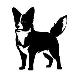 dogs_1679693152102870.jpeg