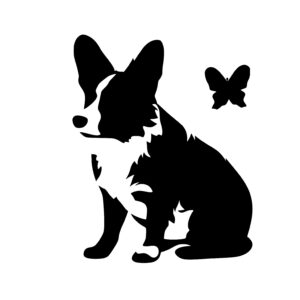 Corgi with Butterfly