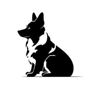 dogs_1679693152148945.jpeg