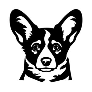 dogs_1679693157259685.jpeg